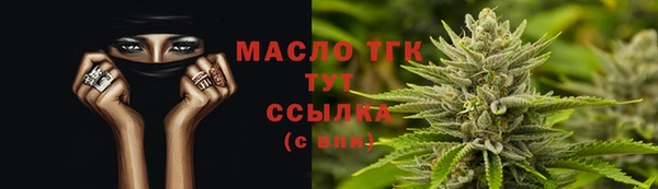стаф Аркадак