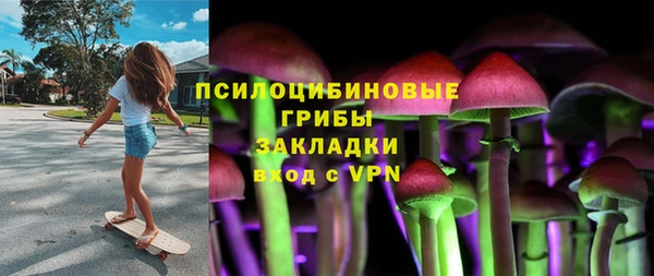 стаф Аркадак