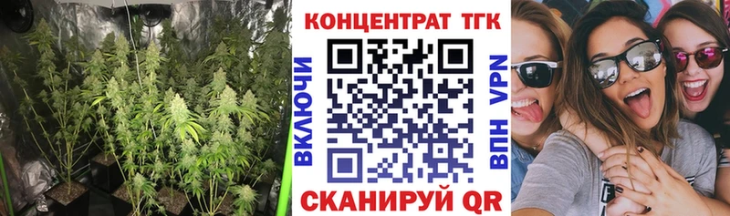 ТГК гашишное масло Полярные Зори